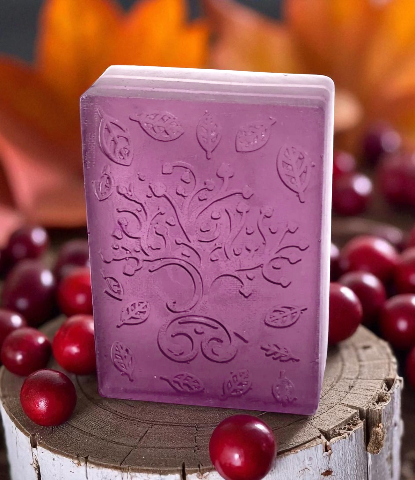 Birdchwood and Cranberry - Bar Soap